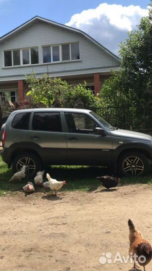 Chevrolet Niva 1.7 МТ, 2013, 91 000 км