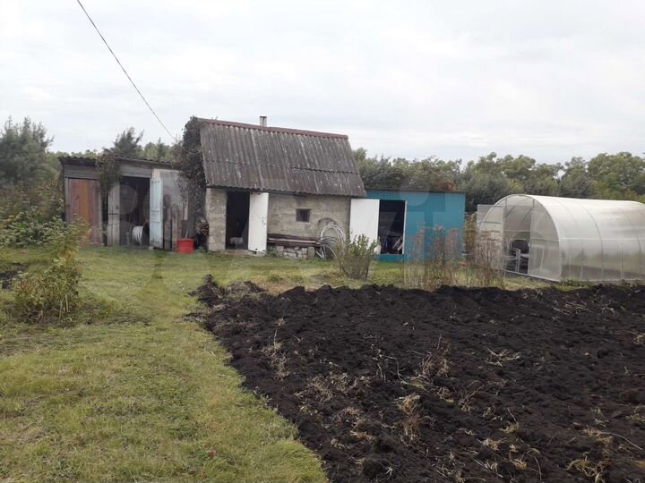 Дача 25 м² на участке 12 сот.