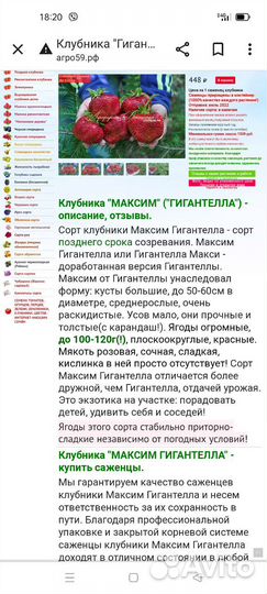 Усы клубники