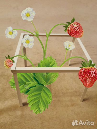 Подставка под куст клубники 10 штук