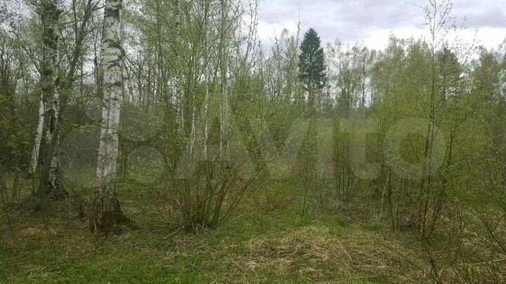 Участок 20 сот. (СНТ, ДНП)