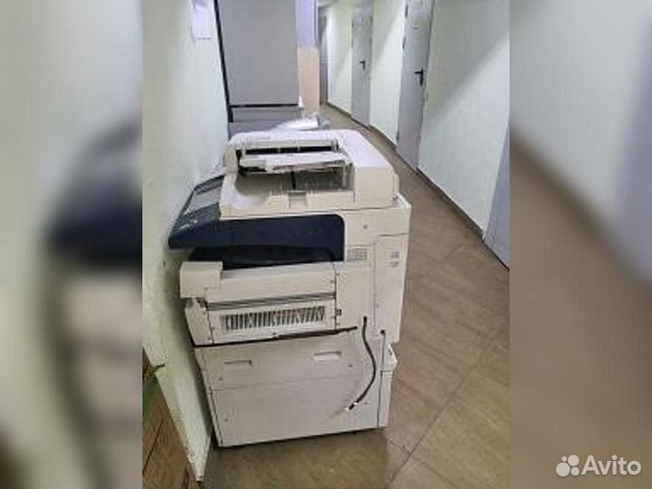 Цифровой мфу xerox7845 и узел фьюзера xerox WE7556