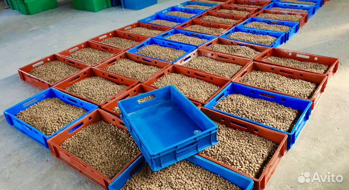 Сухой корм для собак Гипоалергенный/Премиум/Эконом