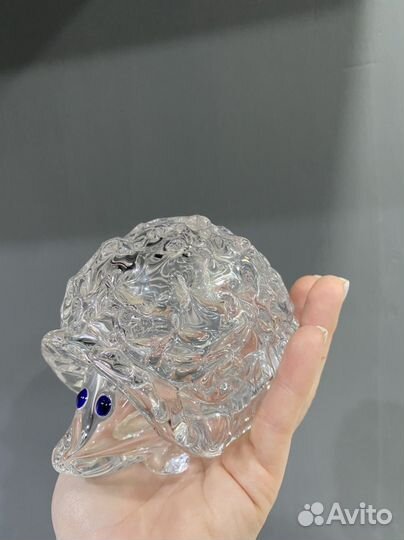 Ежик хрустальный