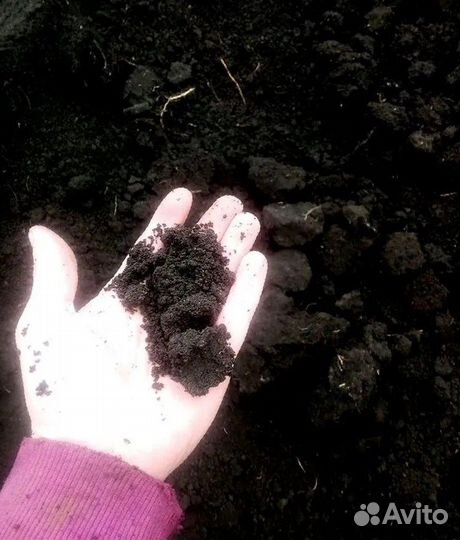 Чернозем Навоз Перегной. Камазом