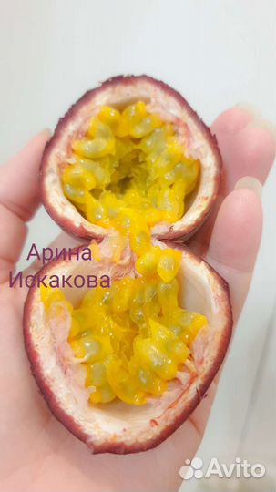 Маракуйя, пассифлора, черенки, семена, экзотика