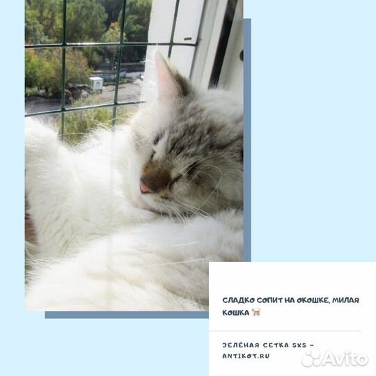 Сетки на окна антикошка