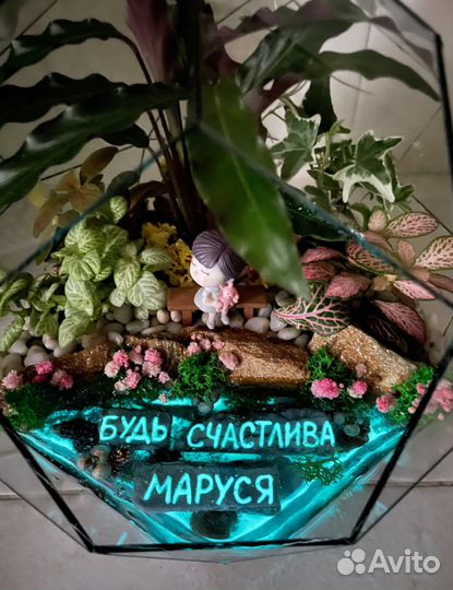 Флорариумы, моссариумы, суккуленты
