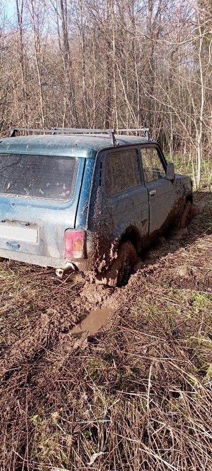 ВАЗ (LADA) 4x4 (Нива): фото владельца