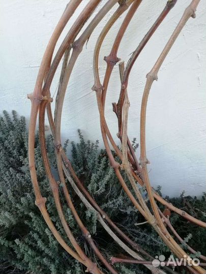 Виноградная лоза, коряги, дрифтвуд