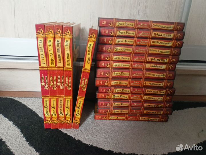 Серия книг Коты-воители