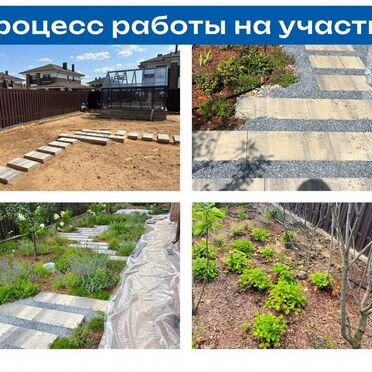 Ландшафтный дизайн, проект участка