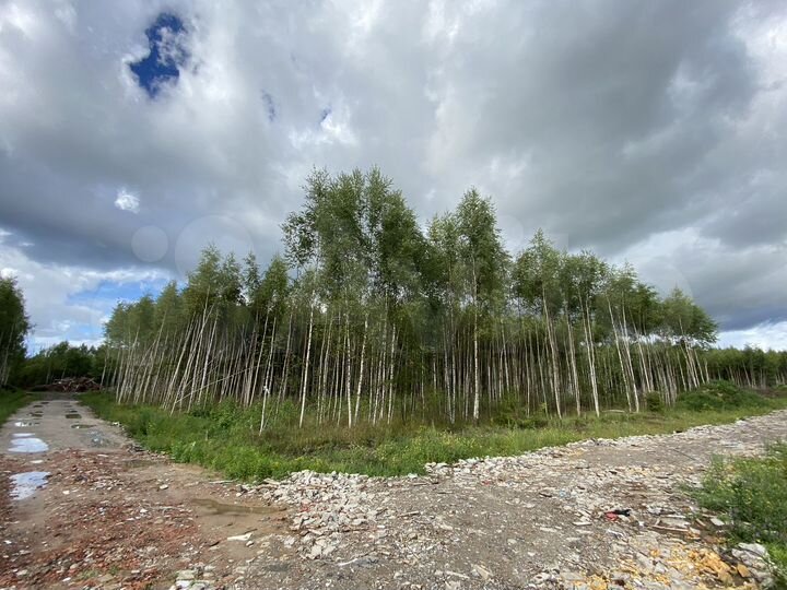 Участок 14 сот. (ИЖС)