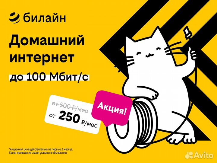 Домашний Интернет билайна в Орле