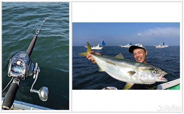 Daiwa gouin aomono H-235.Q