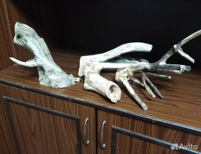 Коряги для рыбок, сомиков