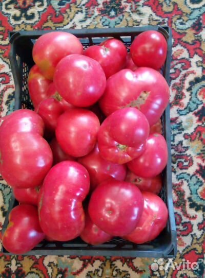 Продукты питания