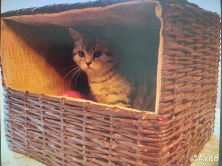 Домики, лежанки для кошек и собак