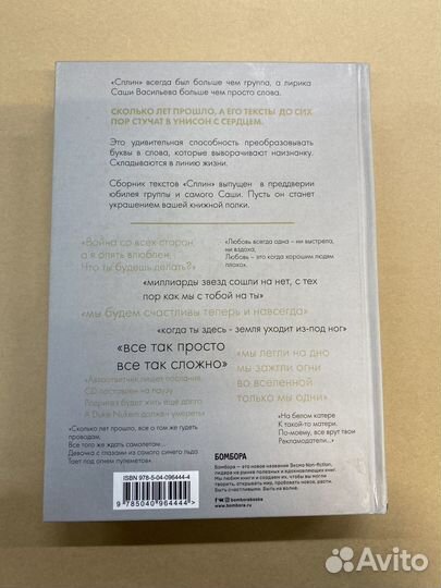 Сплин. Весь этот бред