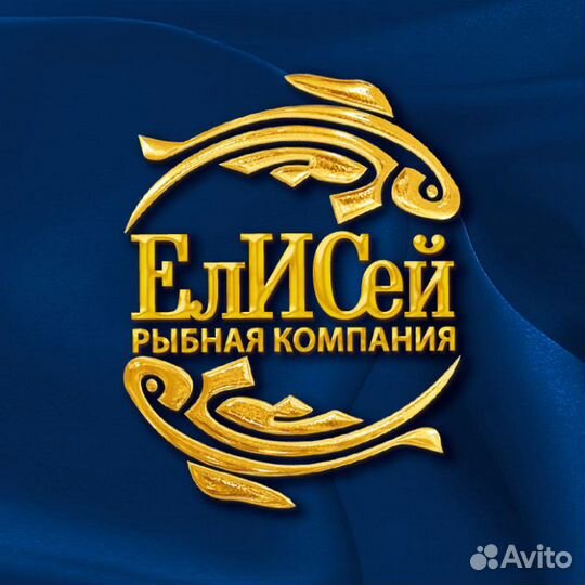Оператор 1с