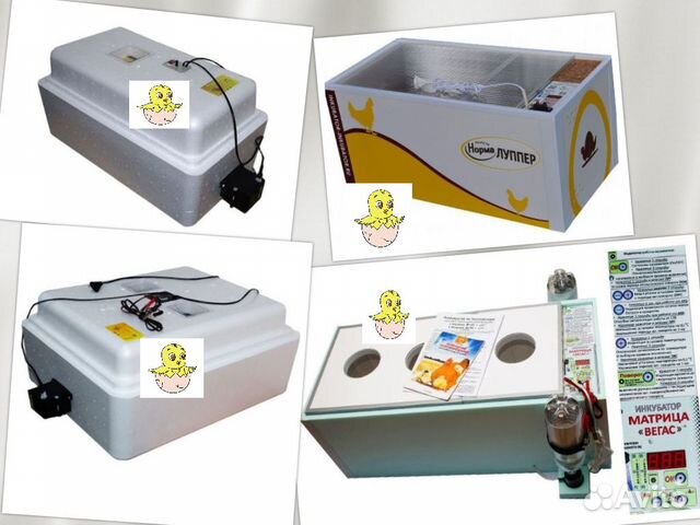 Инкубатор для яиц Несушка, Блиц,Норма в Ижевске