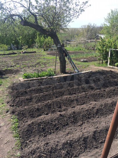 Дом 43 м² на участке 12 сот.