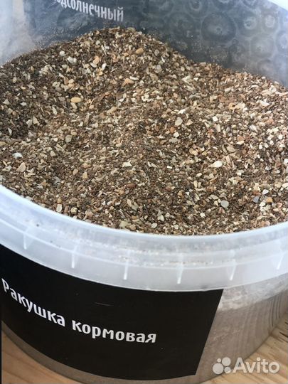 Ракушка кормовая