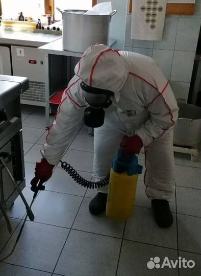 Средство для Уничтожения клопов Дезинсекции тараканов