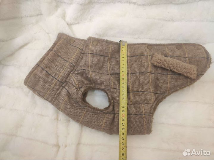 Одежда для собак