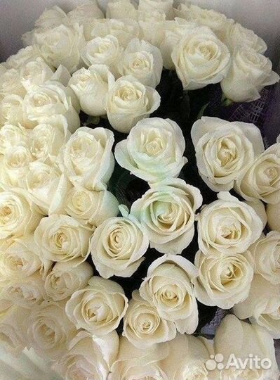 Розы Цветы Букеты 25 51 151 201 101 301 501 опт
