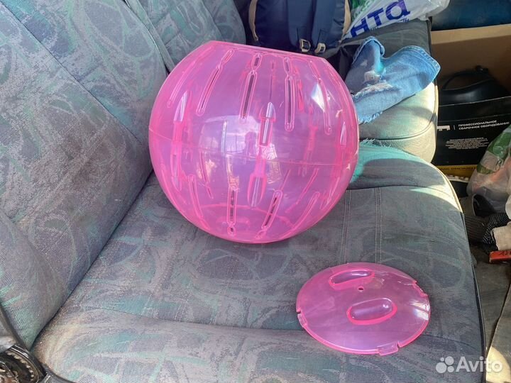 Большой беговой шар для грызунов