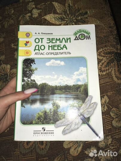 Зелёный дом от земли до неба