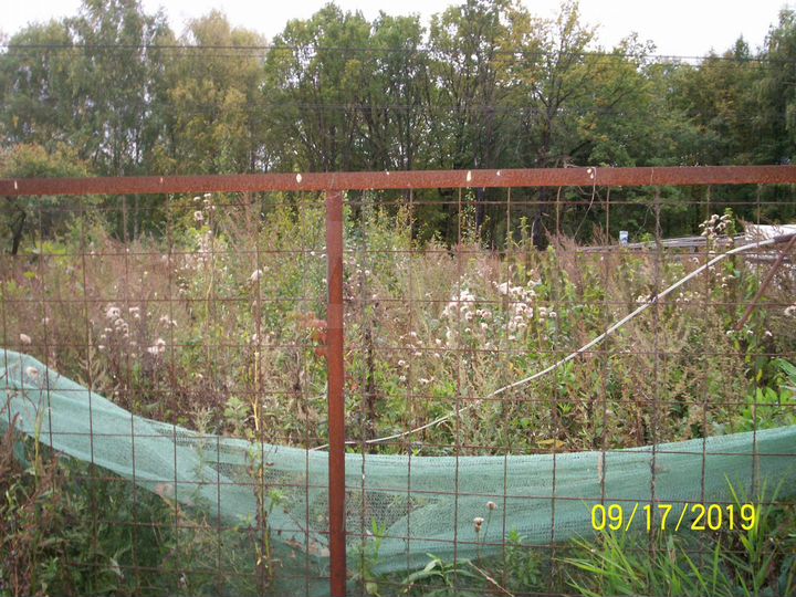 Участок 4 сот. (СНТ, ДНП)