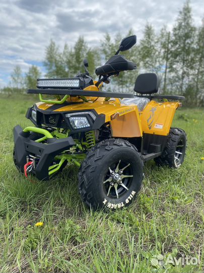 Квадроцикл Wild Track X Pro