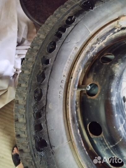 Зимняя резина на дисках LADA Vesta