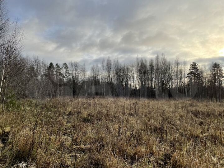 Участок 12 сот. (ИЖС)