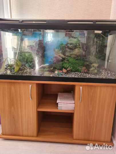 Аквариум