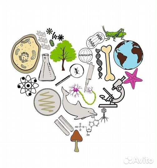 Репетитор по биологии