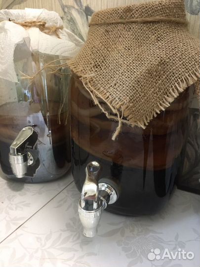 Чайный гриб