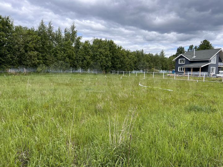 Участок 12,5 сот. (СНТ, ДНП)