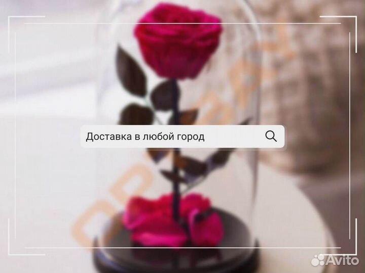 Роза в колбе