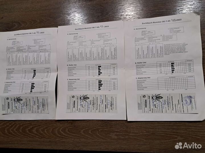 Матки плодные ф1 карника материал Кирхайн