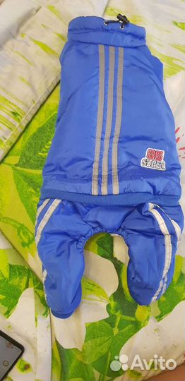 Одежда для собак