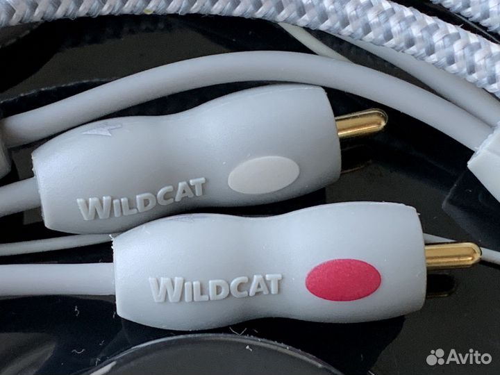 Фонокабель AudioQuest Tonearm Wildcat (1,5 м)