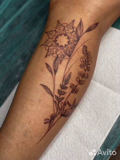 Курсы обучения тату + бесплатный месяц аренды