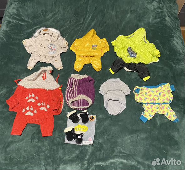 Одежда для собак