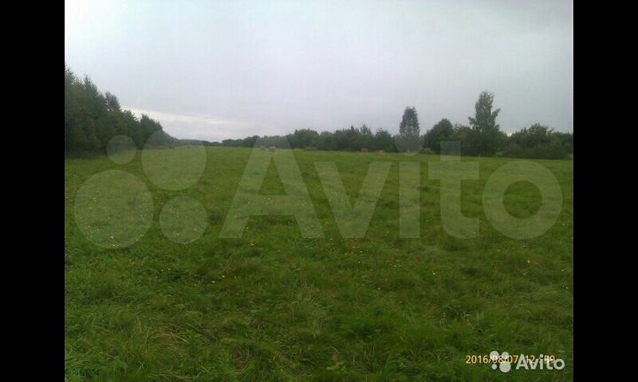 Участок 10 сот. (СНТ, ДНП)