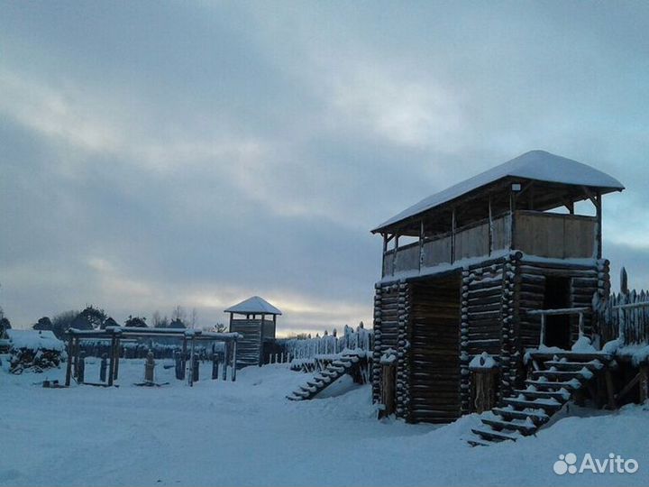 Экскурсия — Петрозаводск — Деревня викингов и горн