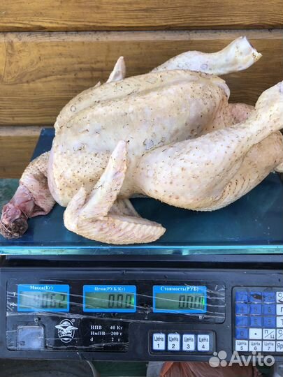 Продою своё излишки домашнего бройлера