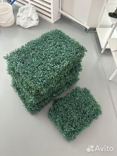Искуственная трава самшит